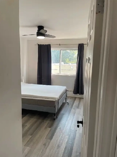 Logement à louer Image# 8