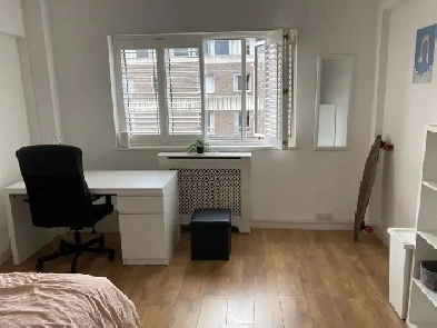 A large Studio apartment to rent Image# 3