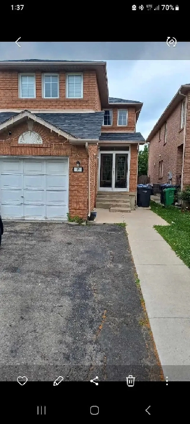 1 Bedroom basement for rent  Brampton - McLaughlin & Ray Lawson Image# 1