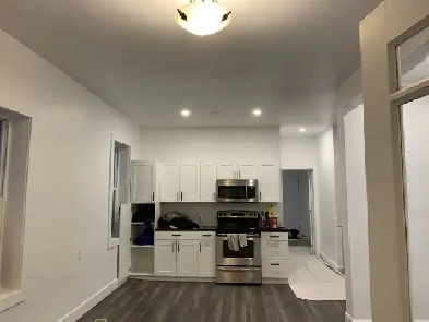 Fully Renovated & Spacious 2BR Heat Incl/Centretown Duplex Image# 7