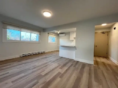 1 bedroom 1 bathroom apartment Image# 5