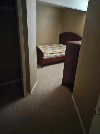 Basement for rent  to university/college student Image# 1