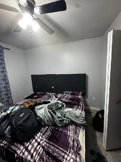 sharing room available from 1st August Image# 1