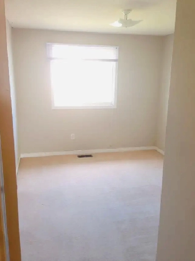 $800 / 4br - Near Durham College/Ontario Tech  (Oshawa) Image# 3