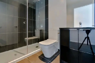 Furnished 1 Bedroom   1 Bathroom in 2 beds/2baths Condo Downtown Image# 5