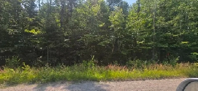 French River area acreages for Sale Image# 2