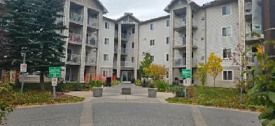 Available immediately $1400  1717 60 St S.E  contact587 777 0326 Image# 11