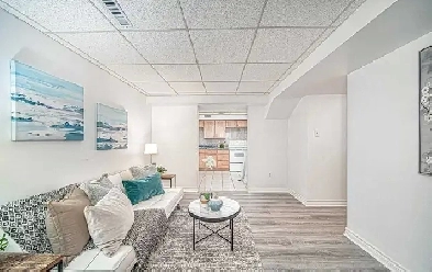 1 BEDROOM  Basement  Apartment  for Rent in Ajax Image# 1