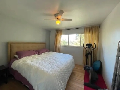 Three bedroom, 2 bath Inner- city  location Image# 8