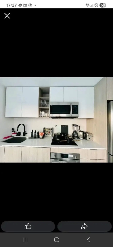 Private Room available at 36 Zorra from 1st August Image# 6