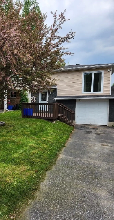 Clean Spacious 4 Bedroom Home With Rooms For Rent Image# 1