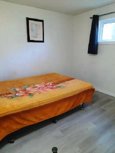 Single room for rent in all girl house near Gurdwara Image# 1