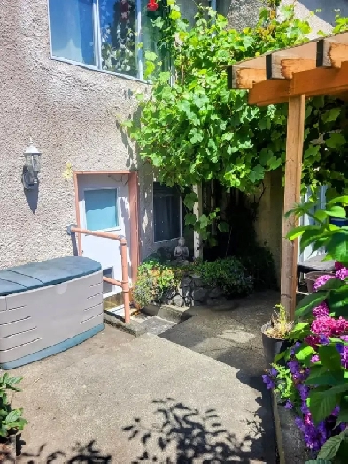 1 Bedroom Basement Suite Image# 1