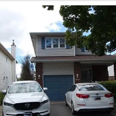 3 LARGE ROOMS IN SINGLE HOME CONVENT GLEN / ORLEANS GARD Image# 7