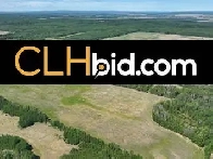 Land For Sale Whitelaw, Alberta - CLHbid.com Image# 8