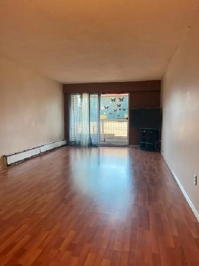 1 bed / 1 bath - new appliances & fresh paint - $1,750 Image# 3