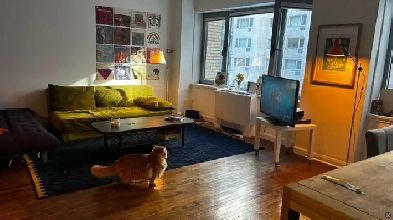 Appartement 3 ½  - 1er Août - Downtown Montreal - Transfer Image# 7