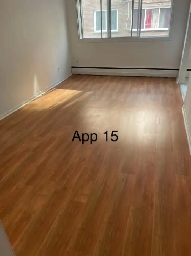 Apparemment 4 1/2 pour 1 er Août Image# 4