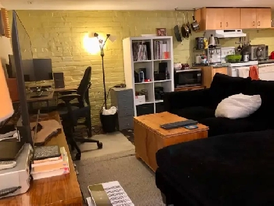Bright open-concept basement apartment in Roncesvalles/Parkdale Image# 20