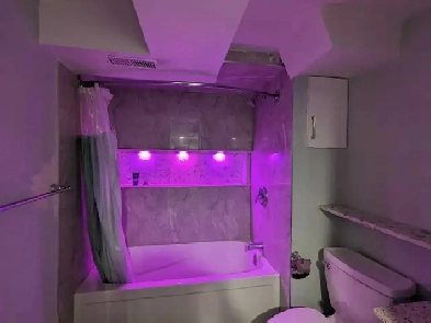 DAILY/WEEKLY RENTAL studio apartment Brampton