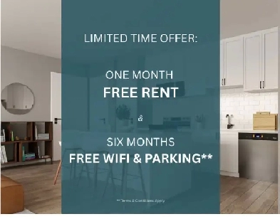 One Bedroom Apartment For Rent Image# 1