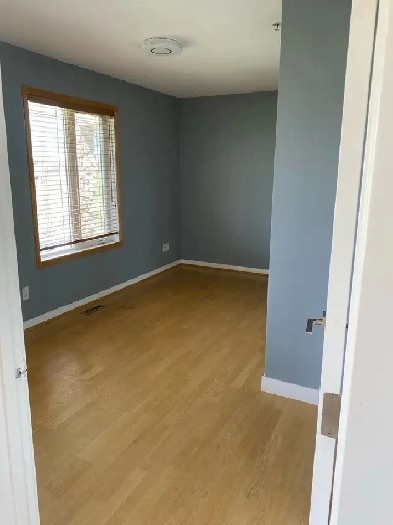 Two bedroom acreage house for rent Image# 6