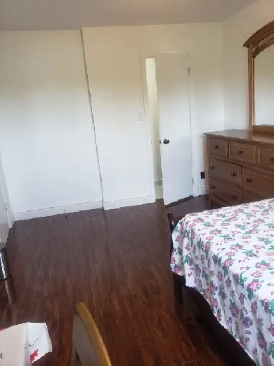 UPPER LEVEl FURNISHED MASTER BED ROOM WITH HALF WASHROOM Image# 3