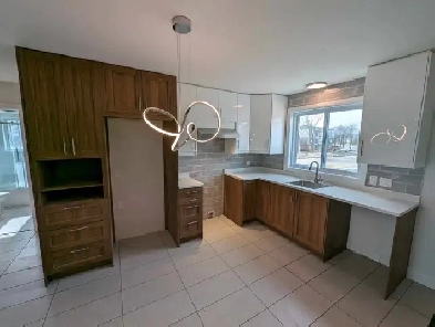Trois-Rivières Ouest - Grand 4 1/2 sur Greniernon fumeur Image# 5