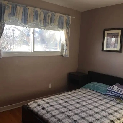 one furnished bed room at Leslie/Cummer for rent Image# 3