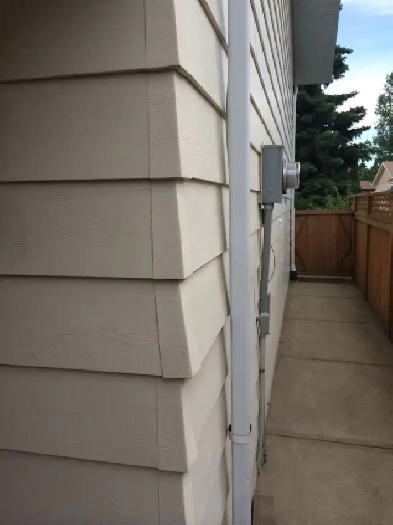 One bedroom basement suite for rent- female only -Aug 01, 2025 Image# 1