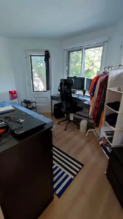 Renovated 1 bedroom 1 bathroom apartment for rent in the Plateau Image# 3