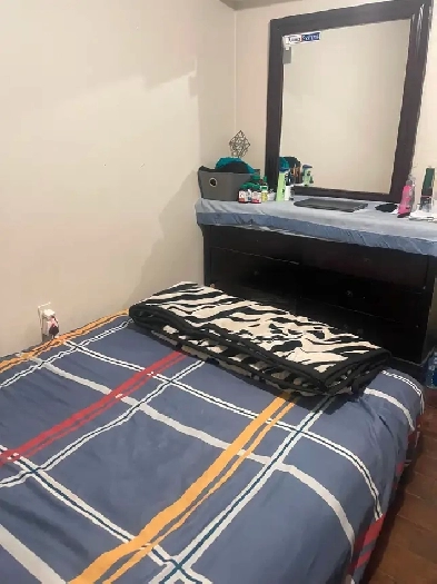 PRIVATE ROOM FOR RENT  FOR BOY   CLOSE TO SHERIDAN COLLEGE Image# 2