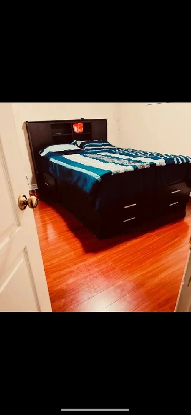 Two bedroom one bath walkout unit Aug 1st Image# 1