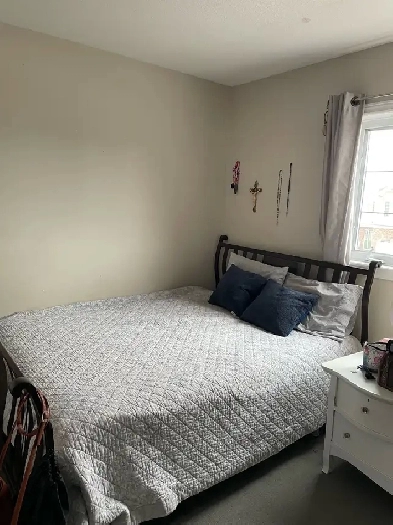 Room for rent for young student or professional Image# 1