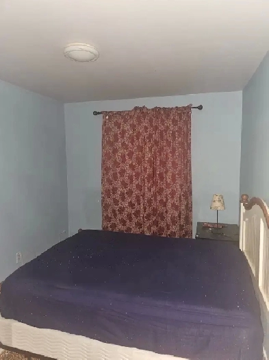 Chambre 700 $ Montreal Ahuntsic Image# 1