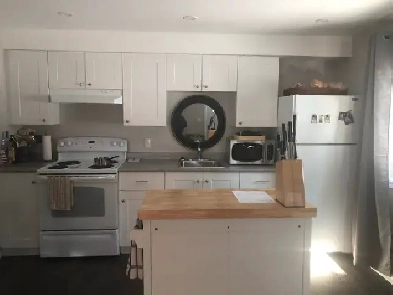 Beautiful 1 bedroom Image# 1