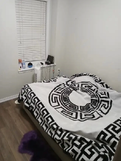 1  room for rent in Brampton, ON Image# 2