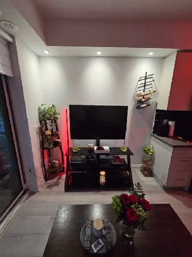 1 bed 1 bath condo Image# 3