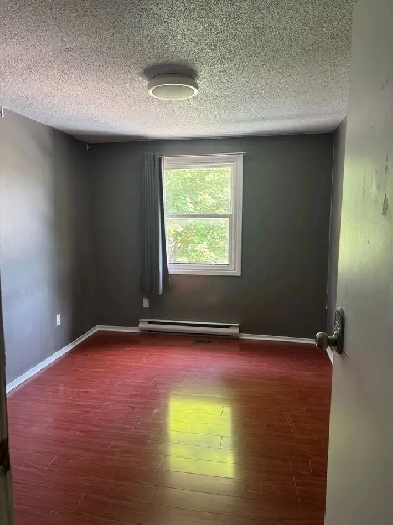 5 student bedrooms for rental Image# 5