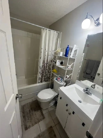 Beautiful Bi-Level House Legal Basement for Rent in Saddlefield Image# 10