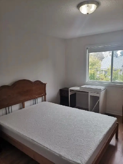 One bedroom near Algonquin College/Centrepoint/416&417—Aug 1 Image# 1