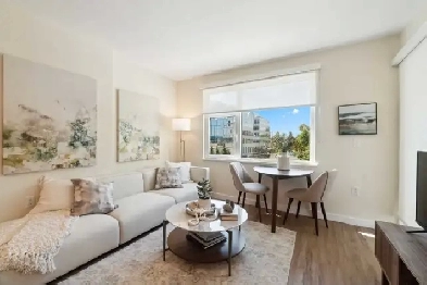 Brand New 1 Bed / 1 Bath near Renfrew Skytrain Station Image# 10