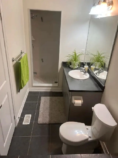 4-bedroom furnished unit in Credit Valley, Brampton for lease Image# 6