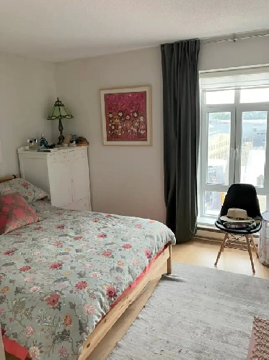 Magnifique appartement 2 chambres Image# 1
