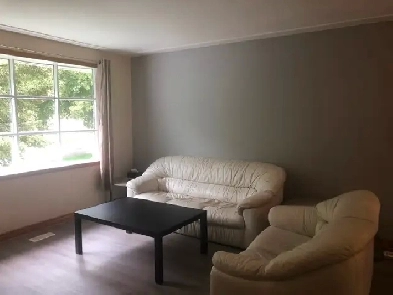MAIN FLR 3BEDROOM FURN’D/RENO’D HOUSE WALK/BIKE TO UNI/COLL PARK Image# 4