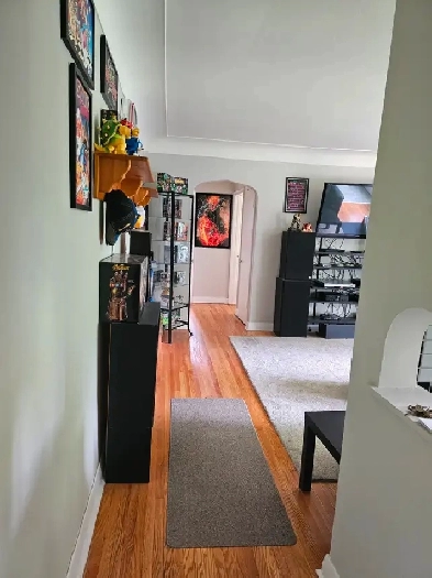 Bright & Shiny 1bdrm APT- SPACIOUS/SELF CONTAINED - Avail Sept 1 Image# 8