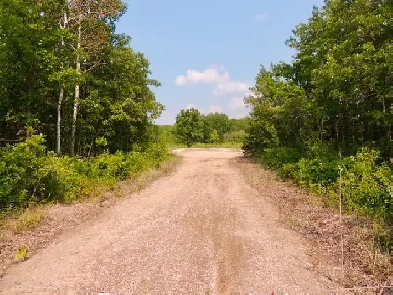 39 Acres with Open Yard Site Image# 3
