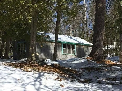 For Sale by Owner- Waterfront Off-Grid Cabin and Land Image# 1