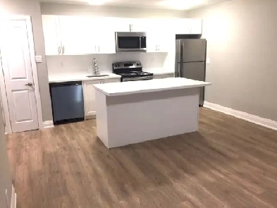 RENOVATED 1 BEDROOM SUITE FOR RENT Image# 1