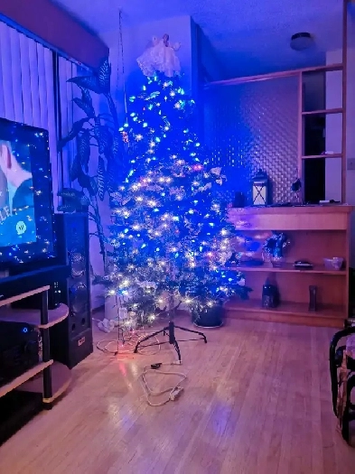 basement for rent Image# 1